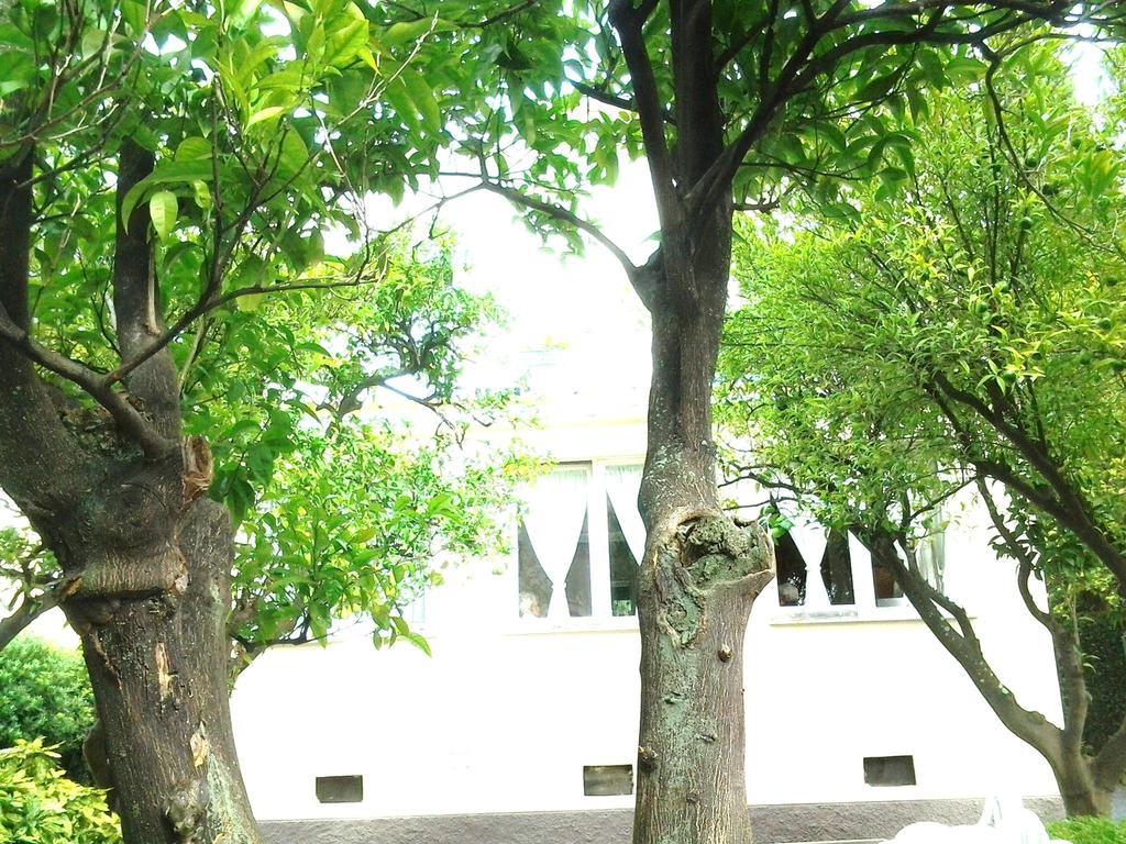 Hotel Piccolo Eden Nervi Ngoại thất bức ảnh